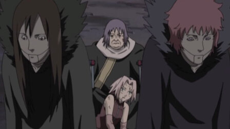 Naruto ナルト 疾風伝 Netflix