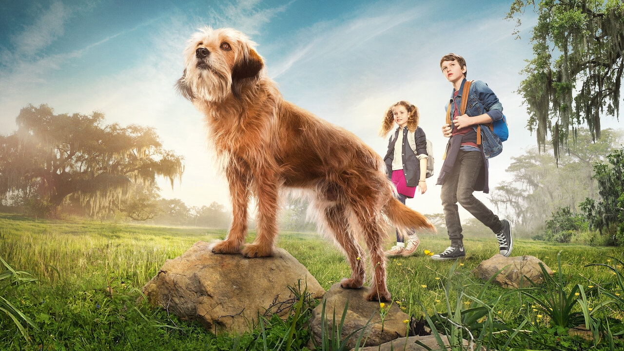 Benji | Netflix Resmi Sitesi
